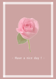 Pink Rose Theme -10-