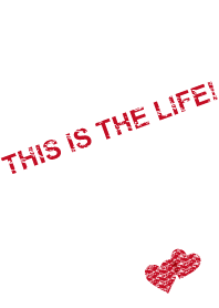 This is the life!