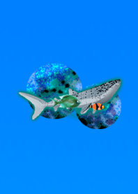 Aquarium Fish Blue White