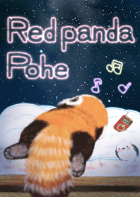 レッサーパンダ ポへ★夜のほんわかネオン