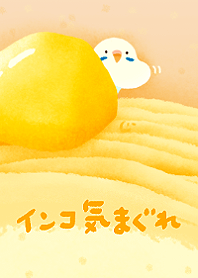 Budgie Mont Blanc Renewal