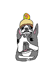 BOSTONTERRiER PAiNT