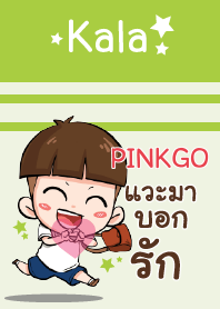 PINKGO kala V02 e