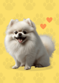귀여운 포메라니안 테마 Yellow 01