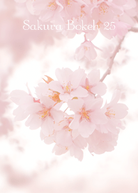 SakuraBokeh 25