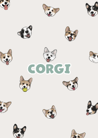 corgicorgi6 - light beige
