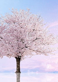 - SAKURA TREE -