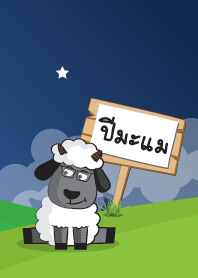 Year of the Sheep