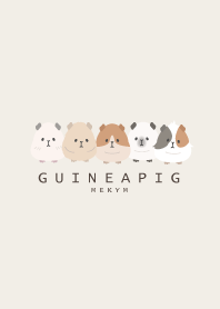 GUINEA PIG-MEKYM 8