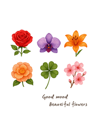 Beautiful mood flowers(Pure white)