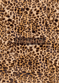 Leopard Fur 77