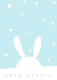 Snow and rabbit