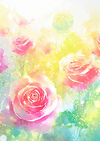 Beautiful rose flower(R1151)