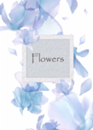 Adult clear flower2