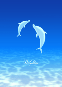 Dance of Dolphins. Ver67
