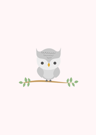 Super popular cute grey owl