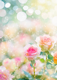 Beautiful rose flower(R2815)