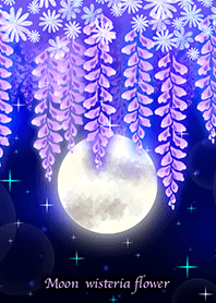 Moon wisteria flower