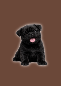 ぬいぐるみ黒パグ着せ替え Brown 02