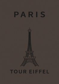 FRANCE PARIS EIFFEL TOWER CHOCO LEATHER