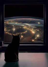 窓辺の景色を眺める猫 6 空中400km