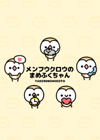 メンフクロウまめふくちゃん