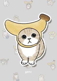 neko combo3 / light grey