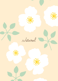 2types of white flowers leaves8 Japan