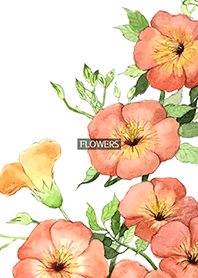 water color flowers_535
