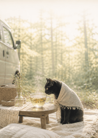Black Cat Natural Outdoor Theme