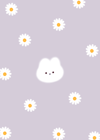 Rabbit and Daisy violet04_2