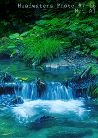 Headwaters Photo #7-16Not AI