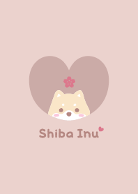 Shiba Inu2 Cherry blossoms - PinkOrange