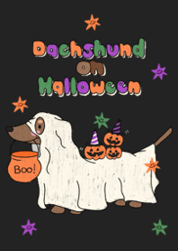 Dachshund on halloween