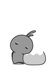 rabbit staring-68