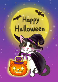 Cats Theme for cats lovers(Halooween)