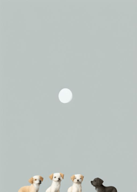 Dog background   9e4455