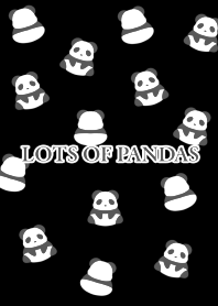 LOTS OF PANDAS-BLACK