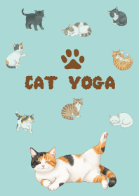 แมวกำลังเล่นโยคะ/4