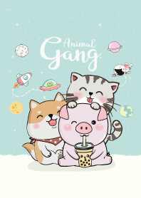 Animal Gang. ( Pig Dog Cat )