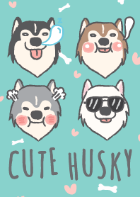 Cute Husky v.3 (III) - JP