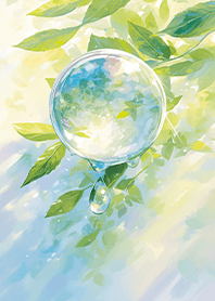 ❤️緑の葉の水滴❤️