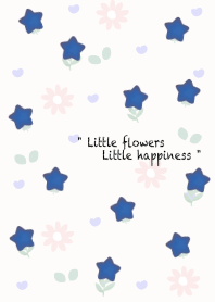 Mini blue star flowers 13