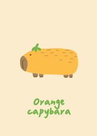 橘子水豚2