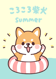 fluffy fat Shiba Summer