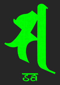 BONJI [sa] BLACK GREEN (0150