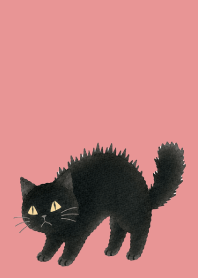 A unique cat12 light pink