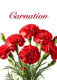 "Carnation vol.5" theme