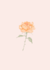 Watercolor flowers/Orange Beige