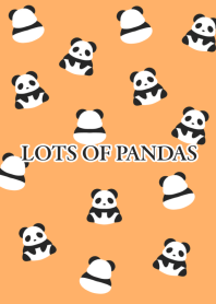LOTS OF PANDAS/APRICOT COLOR